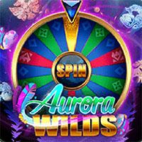 MICROGAMING API แท้